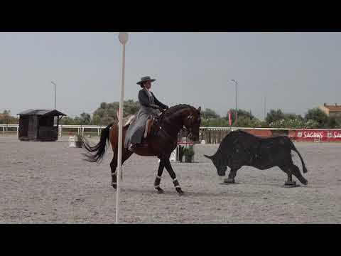 Maneabilidade - Nicole e Hábil