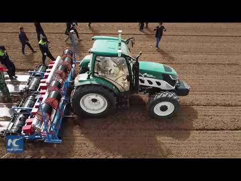 Self-driving tractors sow cotton seeds in spring plowing