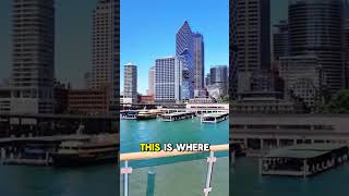 Why passengers never leave this deck #cruiseships #antarctica #expeditioncruise