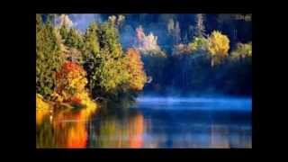 Aaron Neville - This magic moment/True love (241)