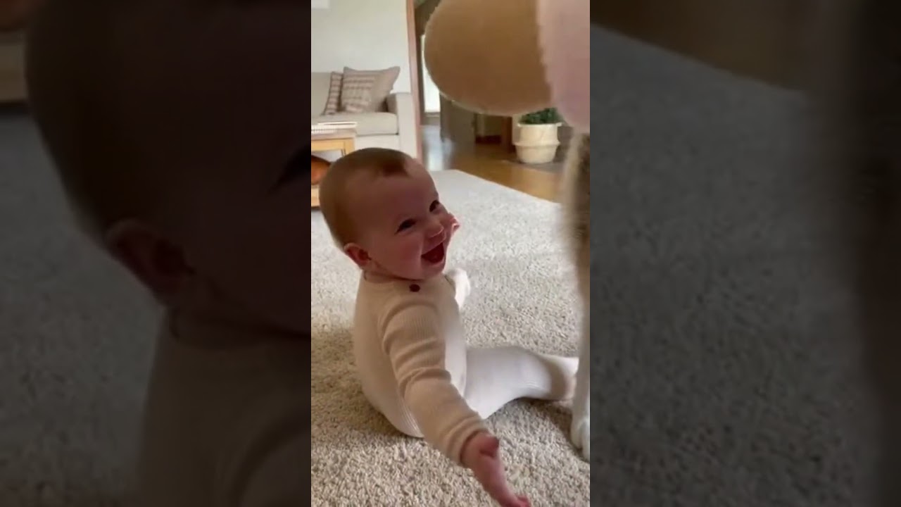 あれ、そっち？ｗ #飼い主 #赤ちゃん #ワンコ