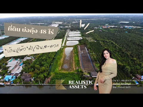 ขายที่ดินบ้านแพ้ว บ่อกุ้ง 48-1-43 ไร่ ติดถนนและคลองดำเนินสะดวก – รูปที่ 2