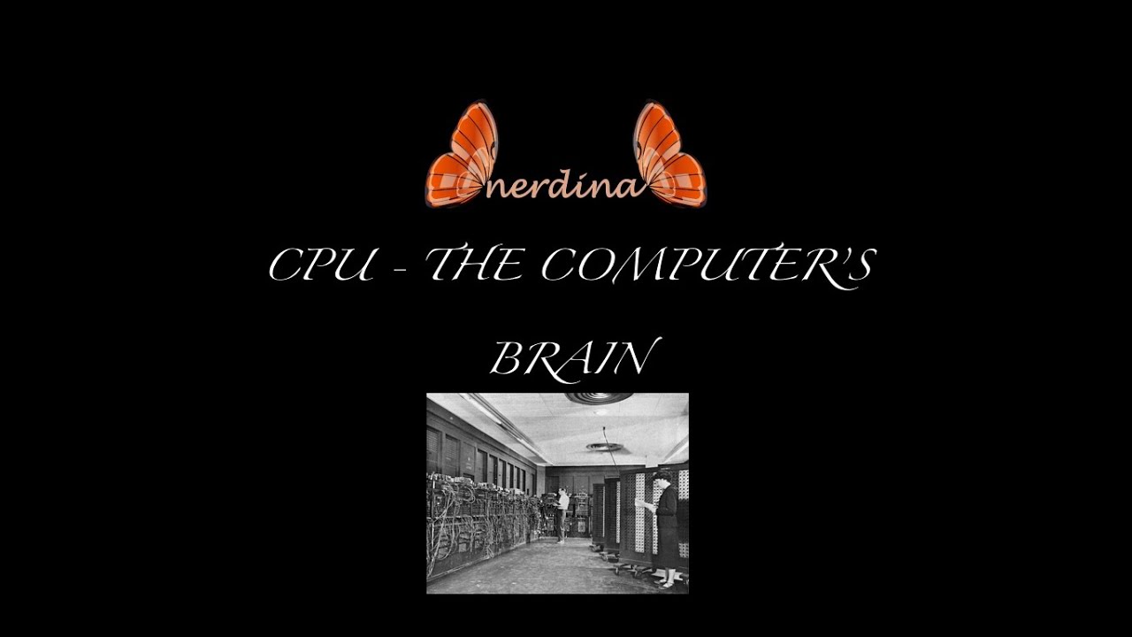 CPU - The Computer's Brain