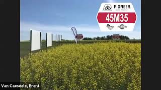 Pioneer Protector® Canola Hybrid 45M35