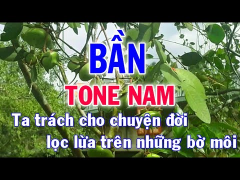 Karaoke Bần Tone Nam Nhạc Sống l Nhật Nguyễn