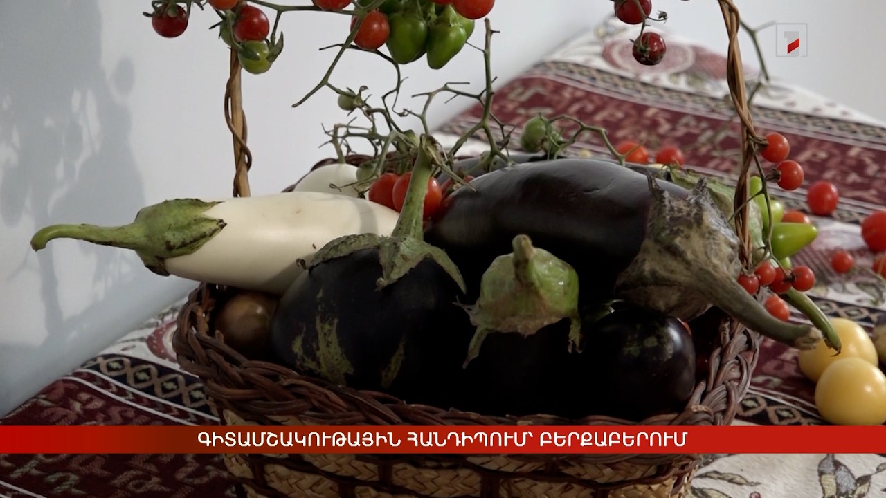 Գիտամշակութային հանդիպում՝ Բերքաբերում
