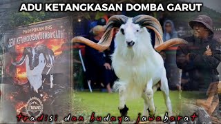 Download lagu GARUT SHEEP FIGHT: HARMONY OF TRADITIONAL ARTS AND COURAGE!! mp3 Download lagu GARUT SHEEP FIGHT: HARMONY OF TRADITIONAL ARTS AND COURAGE!! mp3