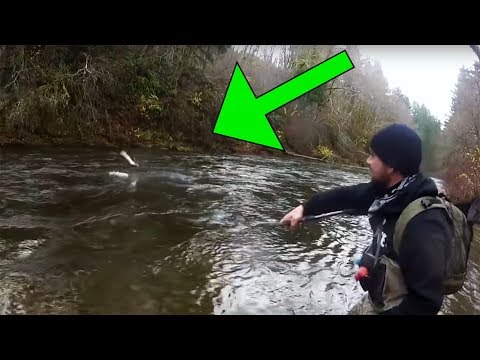 Steelhead Fishing Insanity | Jumps, Bobber-Downs, & BIG Fish!