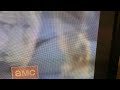 AMC Screenbug Error Dec 11 2021
