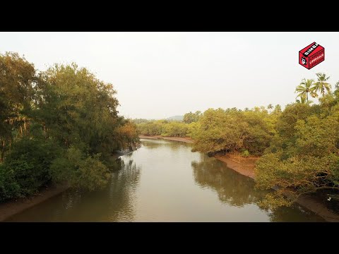 Simba Uproar with Kohra live from Goa!