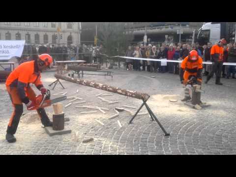 Metsurikisat Helsingin rautatientorilla