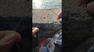 Download lagu CARA MENGIKAT SENAR DI | UJUNG JORAN TEGEK @Iwandarmawan634 #tutorial #tips #caramengikatujungtegek mp3