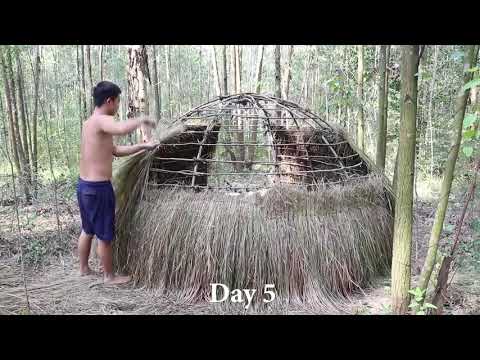 mundo primitivo sobrevivência na mata