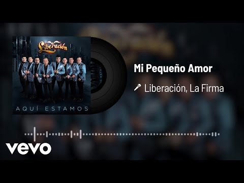 Liberación, La Firma - Mi Pequeño Amor (Audio)