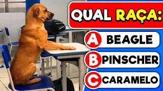 🐶 ADIVINHE A RAÇA DO CACHORRO 🐾| Você conhece os cachorros? | Mundo Quiz