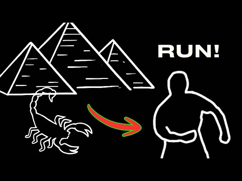 Immersive Interactive Fitness Game – Full Body Warm-up for All Ages / #fitness #exercise