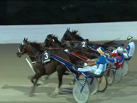 Trotto 22/09/2019 - 3ª corsa