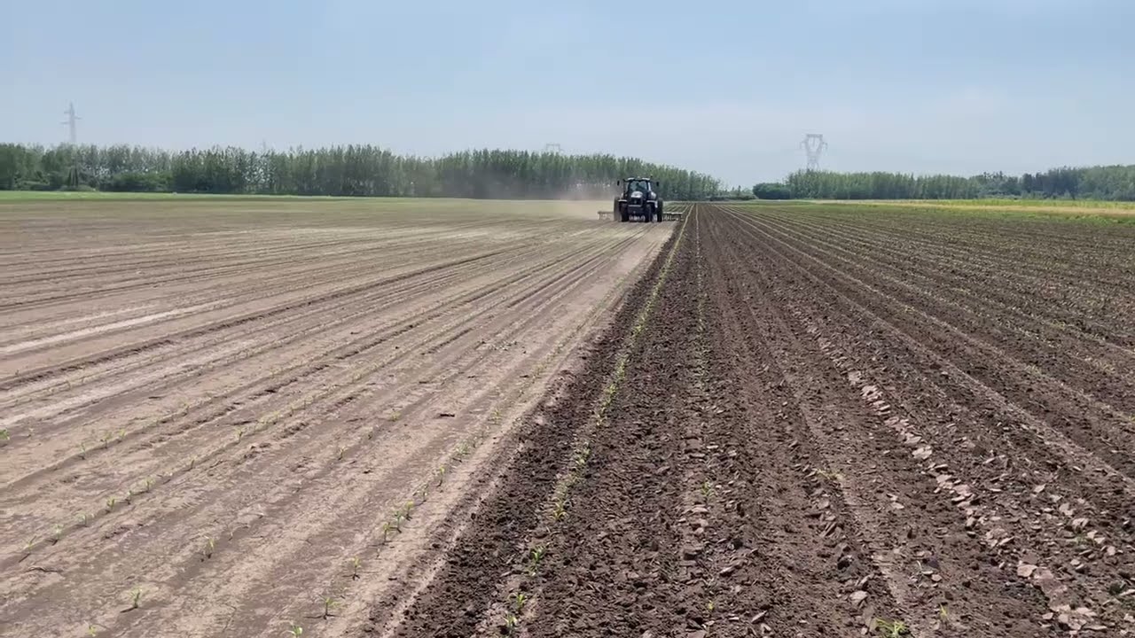  Aero-Star csillagkerekes Küllőskapa, "Napsugár" lecserepesedett csemege kukoricában 