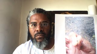 BEWARE of the BIRDS! The Parable of "The Grain of Black Mustard Seed" Correctly Explained to US!