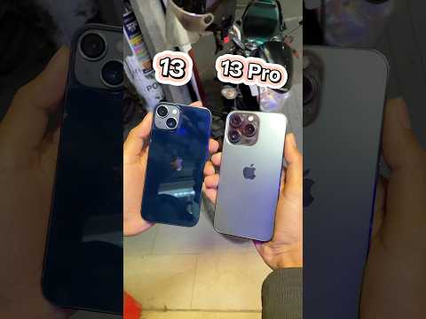 iPhone 13 Vs iPhone 13 Pro || Camera Zoom Test! #shorts