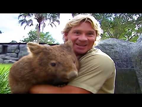 Wombats Being Wicked For 10 Minutes Straight