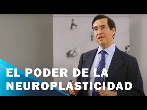 El poder de la neuroplasticidad para desplegar tu verdadero potencial | Mario Alonso Puig