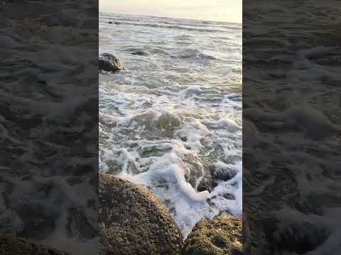 roar of sea..melody of peace..#coxsbazarbeach #travel