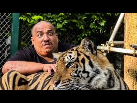 الهربة🤣🔥مع الهروي ezzoubair hilal في تايلند #ezzoubair_hilal #المغرب  #الجزائر #الهروي #adil_taouil