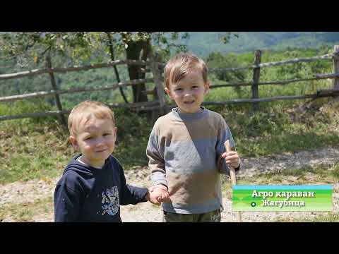 Agro karavan ep.132 - Žagubica - 12.07.2020.