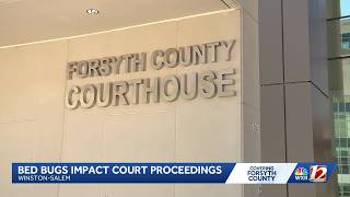 Forsyth County Courthouse deals with bed bugs in criminal courtroom 308