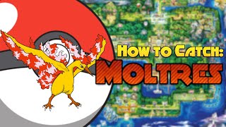 How to catch them All! - Moltres (Pokémon Red, Blue and Yellow!)
