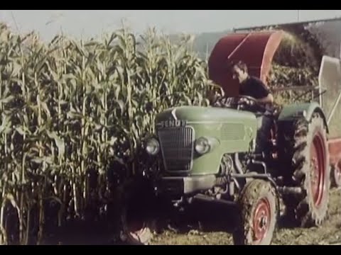 Fendt Werbefilm 60er Jahre (Teil 5) Farmer 2 /Gras & Mais Silage