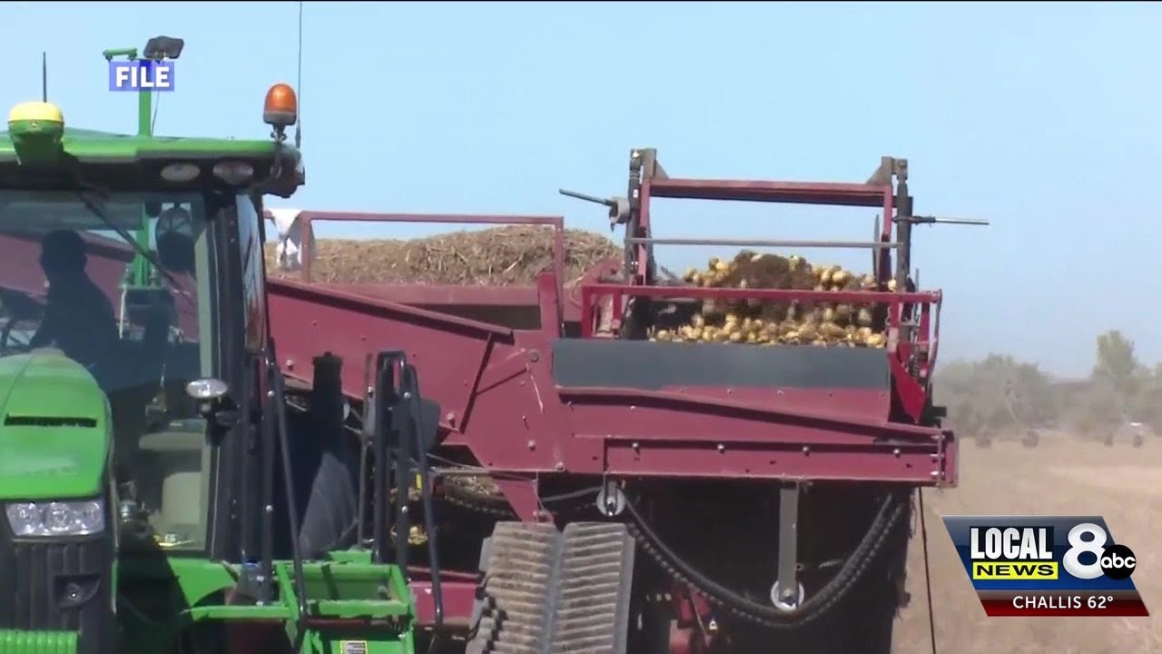 National Ag Day highlights why agriculture in Idaho is important, ways to support farmers