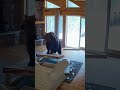 🐻 Real CCTV: Grizzly Bear Breaks Into Cabin – Man’s Reaction Is Terrifying!#BearAttack #Wildlife