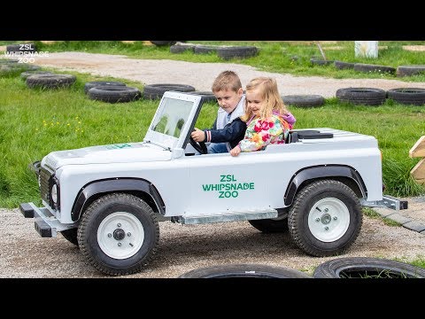 Mini Safari Cars at ZSL Whipsnade Zoo