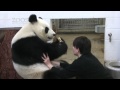 Panda Contact Session 