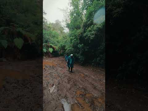 Barro y lluvia 🥾🟤📌Los Angeles de San Rafael, Heredia  #costarica #hiking #vlog