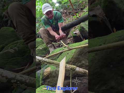 Catarata Las Golondrinas /Limón, Guácimo / Costa Rica 🇨🇷 #travel #explore #naturaleza #fauna #flora