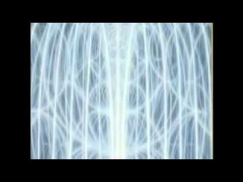 Alberto Villoldo- Healing the Luminous Body - www.bpv.ch