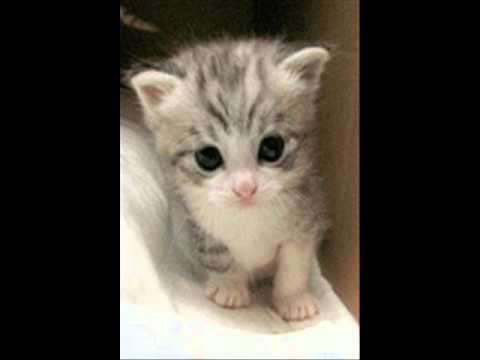 sharmin - happy birthday i love u