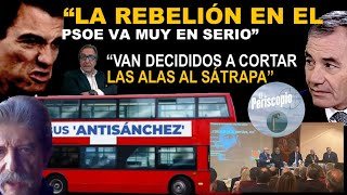 🔥🔥 LA REBELIÓN INTERNA "ANTISANCHISTA" CRECE Y PARECE IMPARABLE🔥🔥