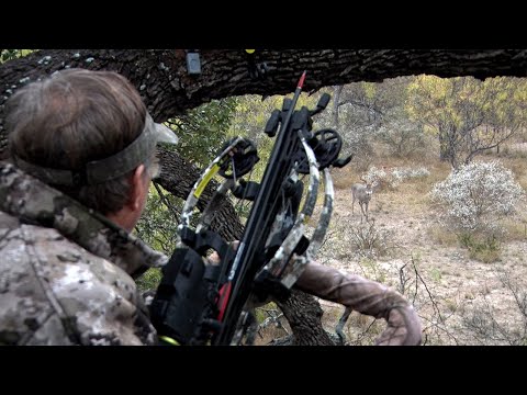 TenPoint Crossbows and Garmin Dominate the Hunting Scene