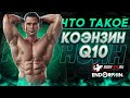 Коэнзин Q10 в спорте.