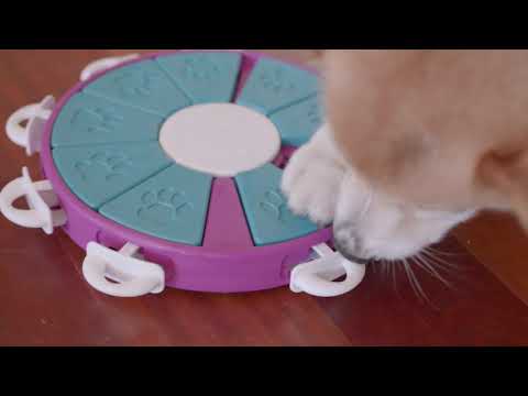 Outward Hound Puppy Tornado Puzzle Toy — Jeffrey's Natural Pet Foods