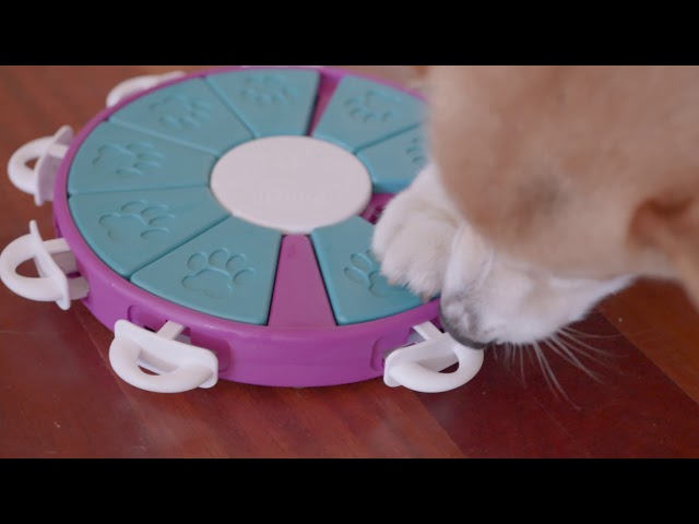 Vídeo relacionado con Nina Ottosson por Outward Hound Dog Twister - Dispensador Interactivo de recompensas - Rompecabezas para Perros - Nivel avanzado