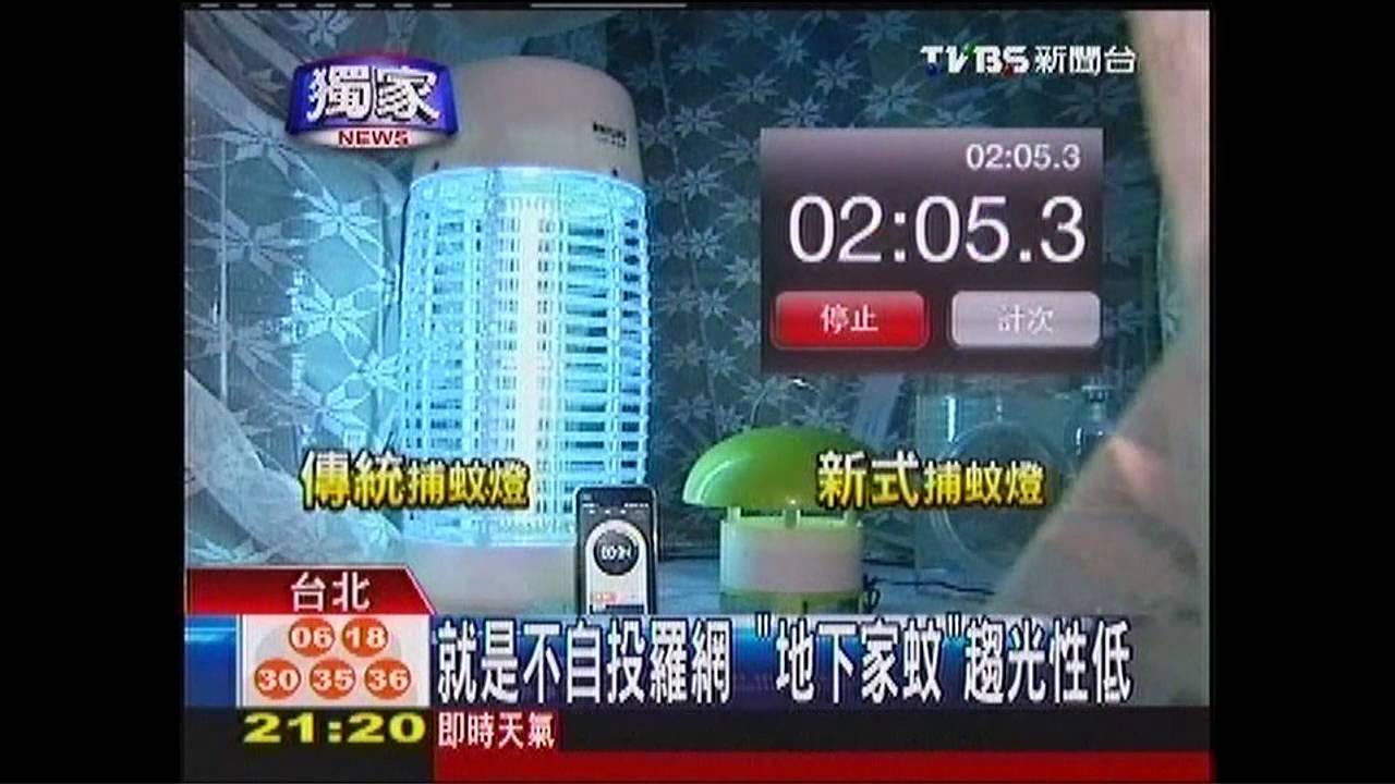 〈獨家〉就是不自投羅網 「地下家蚊」趨光性低