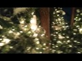 Macy S Santaland