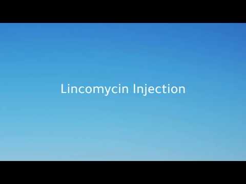 Lincomycin hydrochloride injection, 600mg/2ml