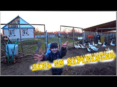 День по деревенски! Дневник дня / СЕМЬЯ В ДЕРЕВНЕ