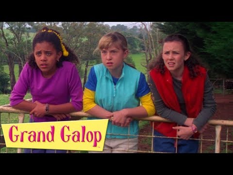 Grand Galop - Épisodes 21 à 22 | Compilation | Grand Galop Saison 1